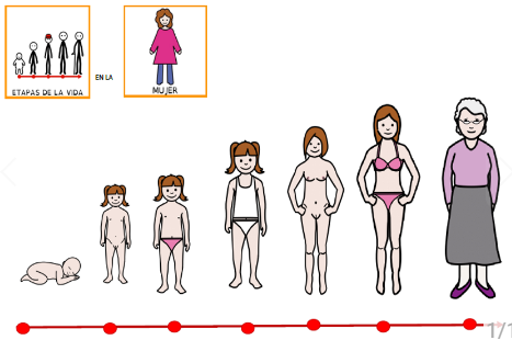 Промени кај жените: од девојче во жена. Менструален циклус.
